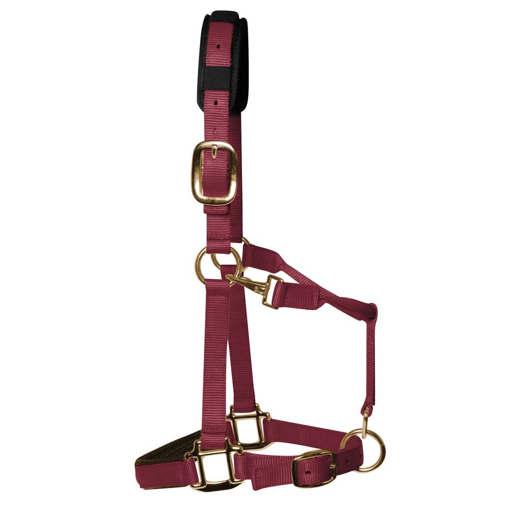 KM Elite Padded Headcollar Burgundy – KM Elite Products