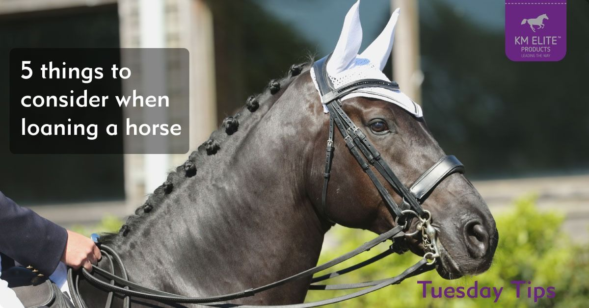 5 Things to Consider When Loaning a Horse