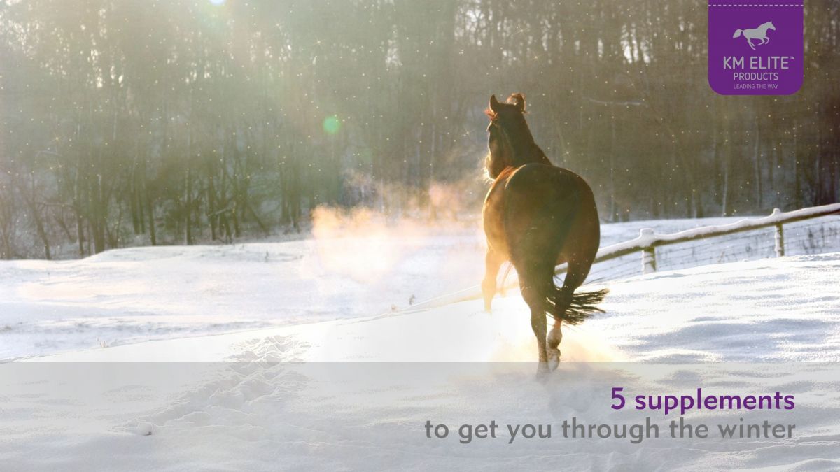 5 Supplements To Get You Through the Winter