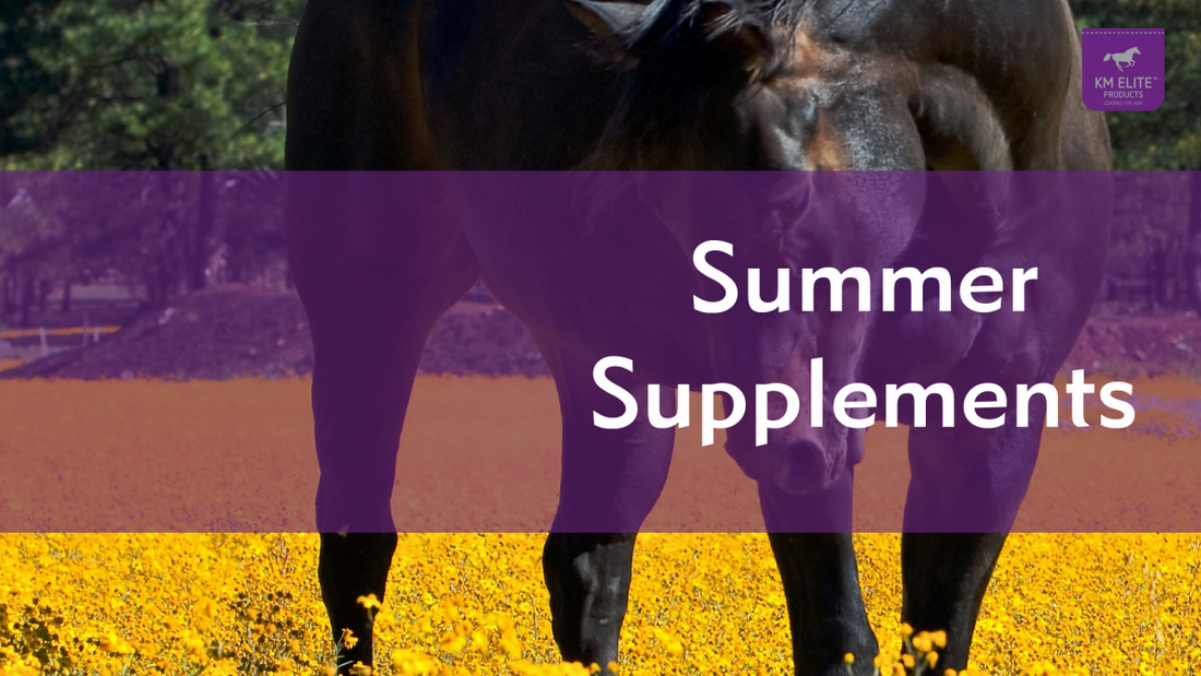 Summer Supplements