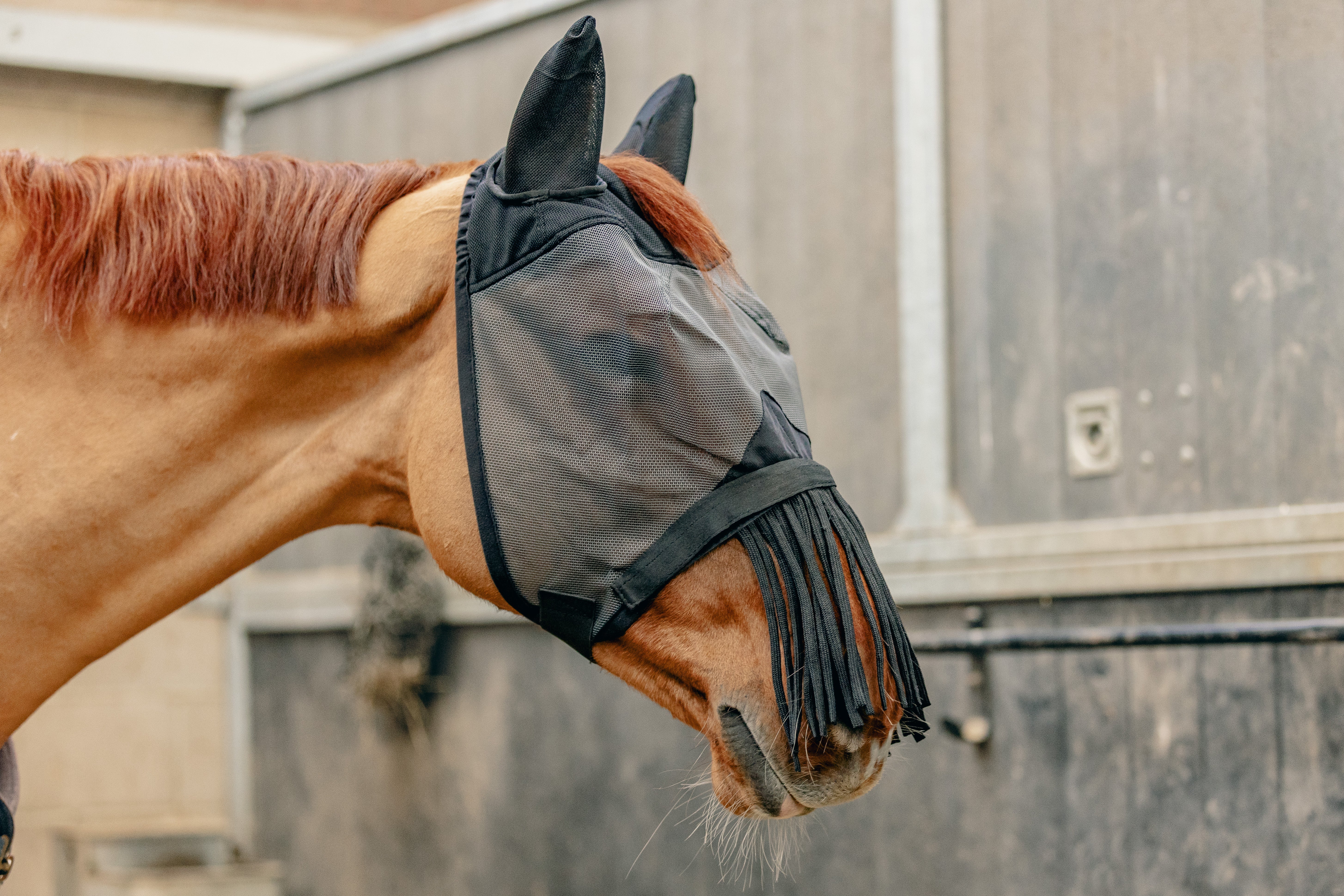 Fly Protection – KM Elite Products