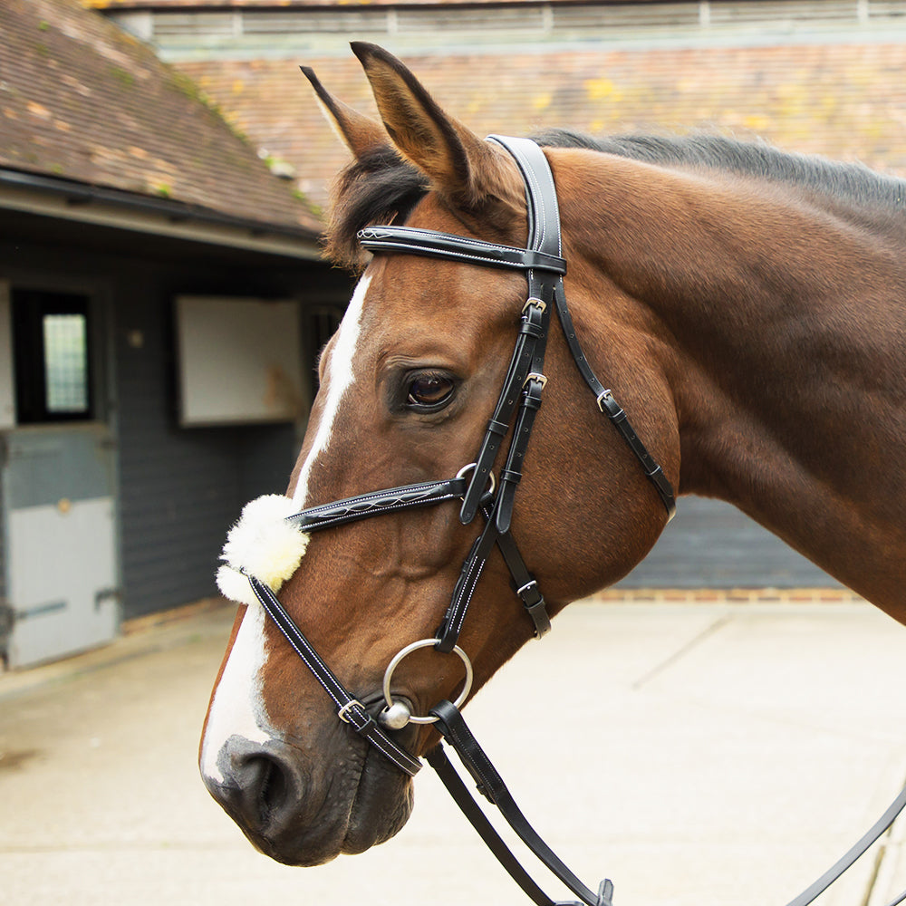 Saddlery