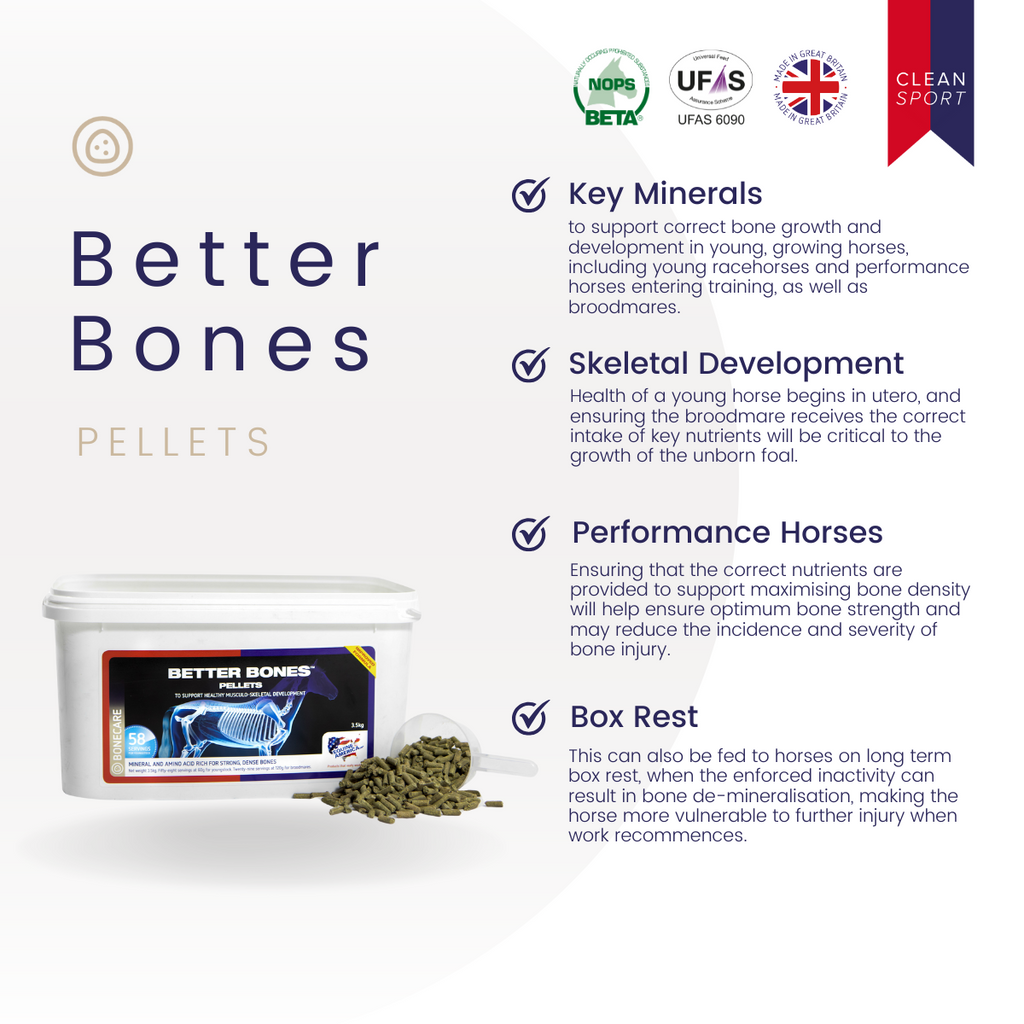 Better Bones