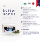 Better Bones