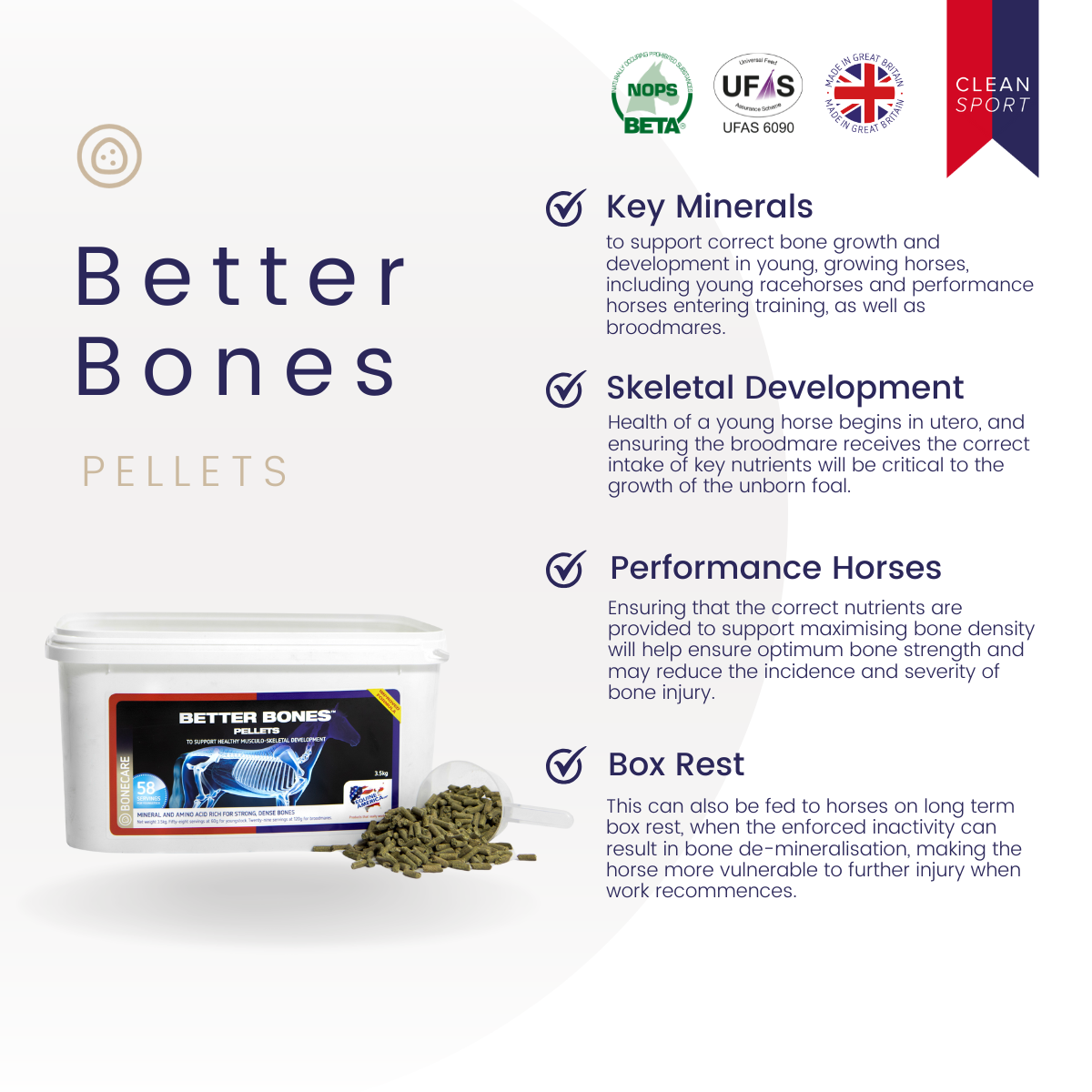 Better Bones