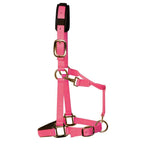 KM Elite Padded Headcollar Pink