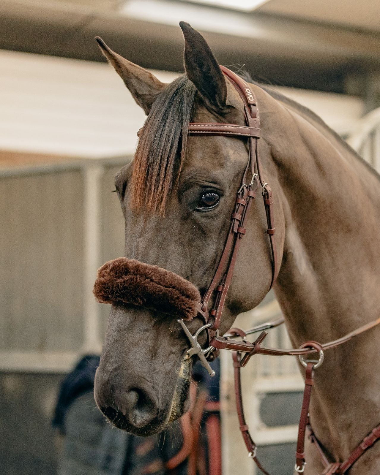 KM Elite Teddy Soft Noseband Cover