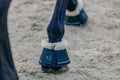 KM Elite Teddy Soft Over Reach Boots