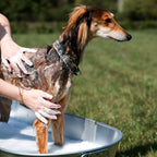 Oat-So-Soothing Dog Shampoo 500ml