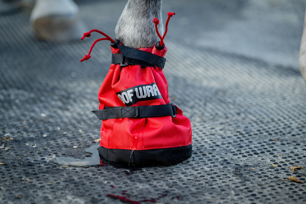 Hoof Wraps Soaker Bag, Two Pads and Extra Strap
