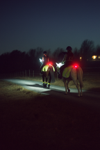 Meolinq LightPlus - PRE ORDER NOW!