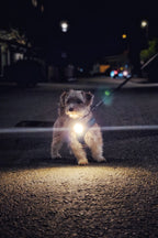 Meolinq LightPlus - PRE ORDER NOW!