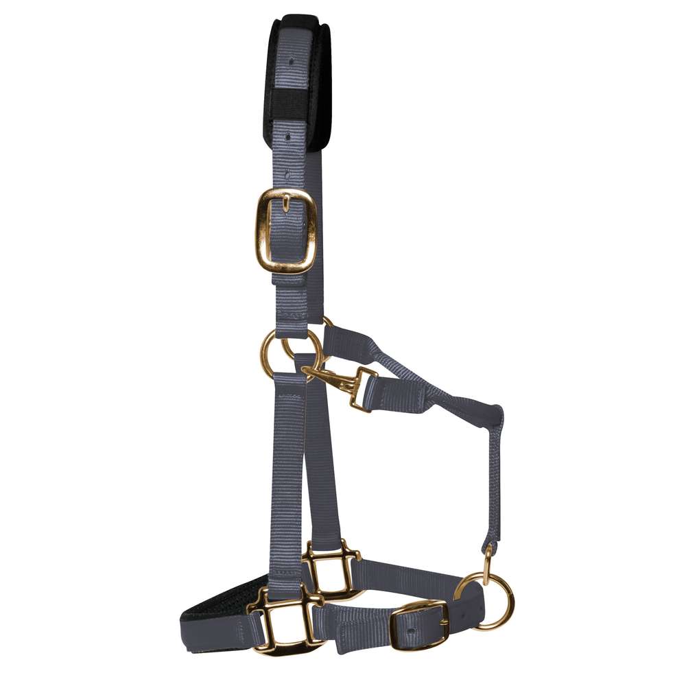 KM Elite Padded Headcollar Grey
