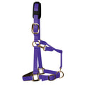 KM Elite Padded Headcollar Purple