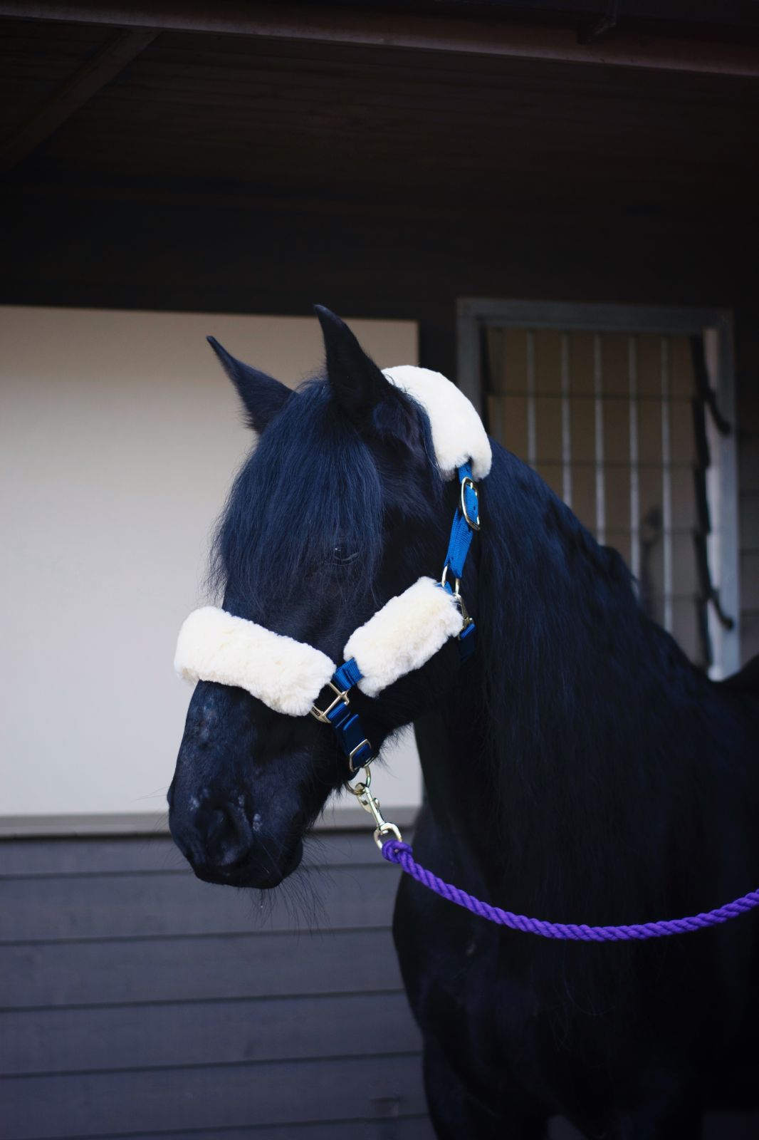 100% Merino Sheepskin Headstall Set