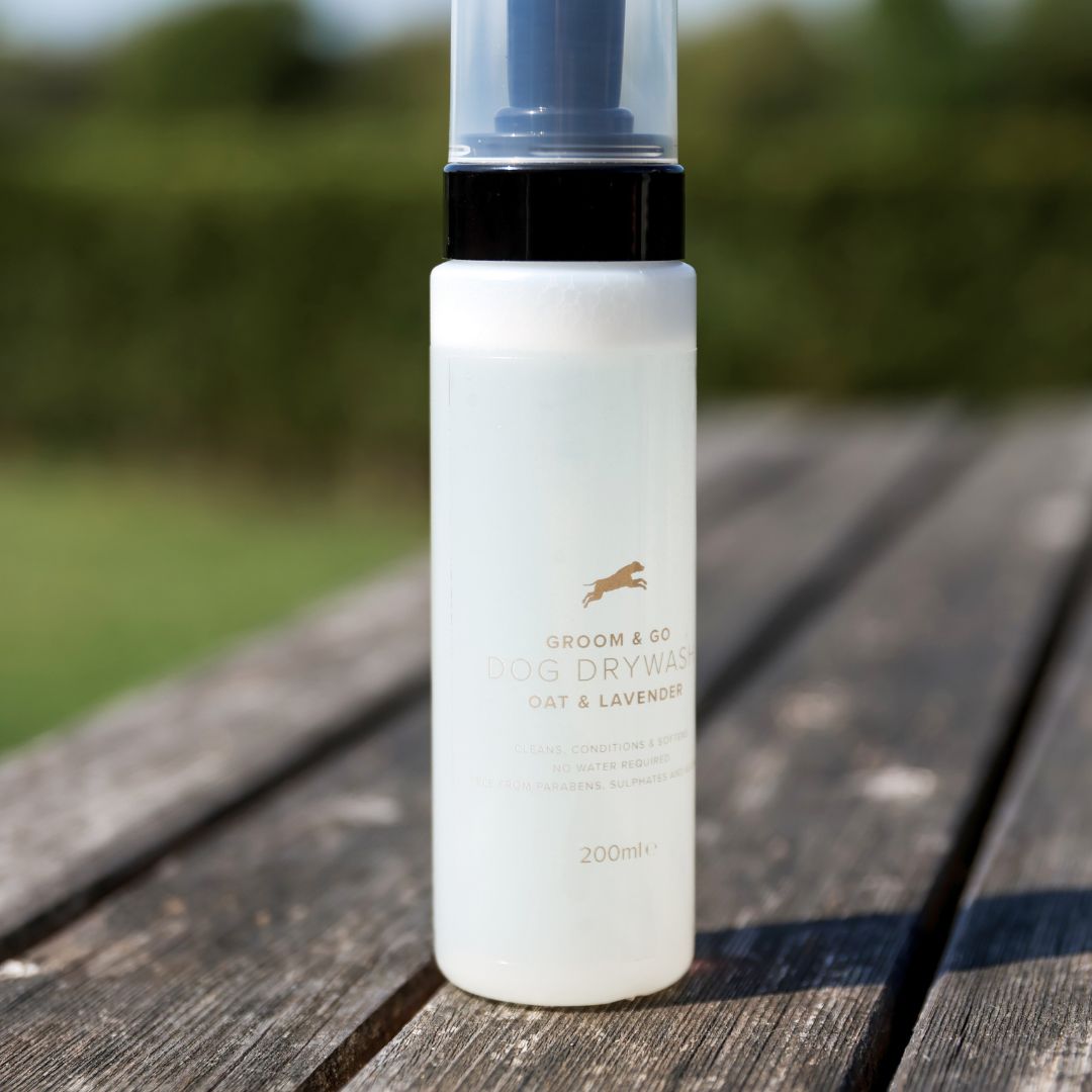 Groom & Go Dry Shampoo 200ml