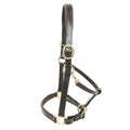 KM Elite Padded Leather Headcollar Havana