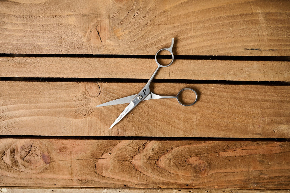 5"/12.5cm Pointed Scissors