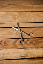 6"/15cm Curved Trimming Scissors