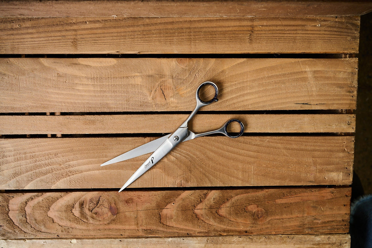 7.5"19cm Pointed Tail Scissors