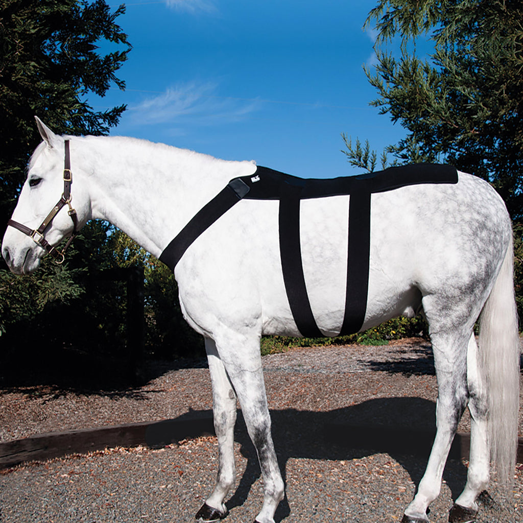 Back Blanket with 10 Cold Inserts