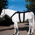 Back Blanket with 10 Cold Inserts