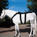 Back Blanket (Pony)