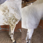 Polar White Stain Remover
