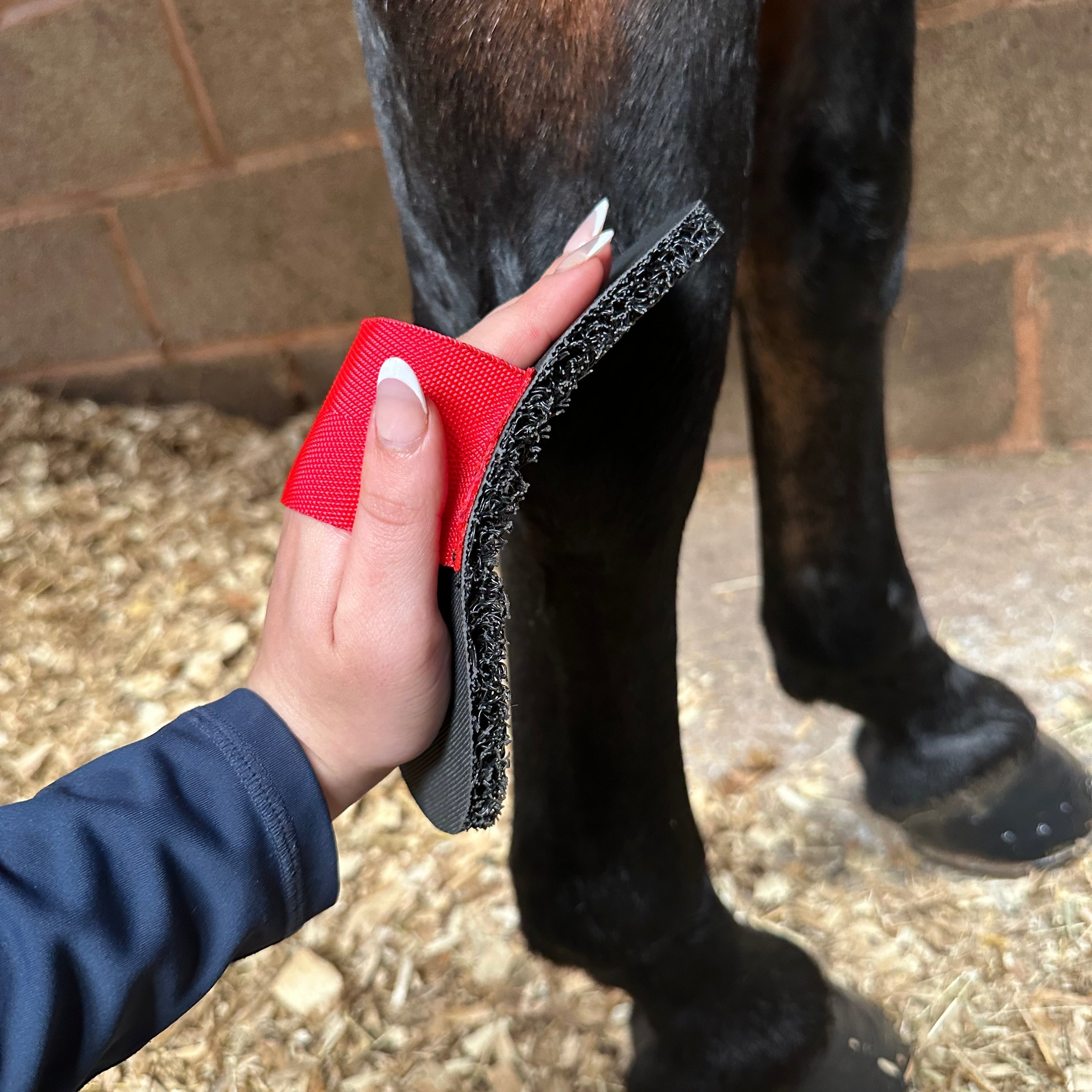 Super Groomer - Deluxe Edition