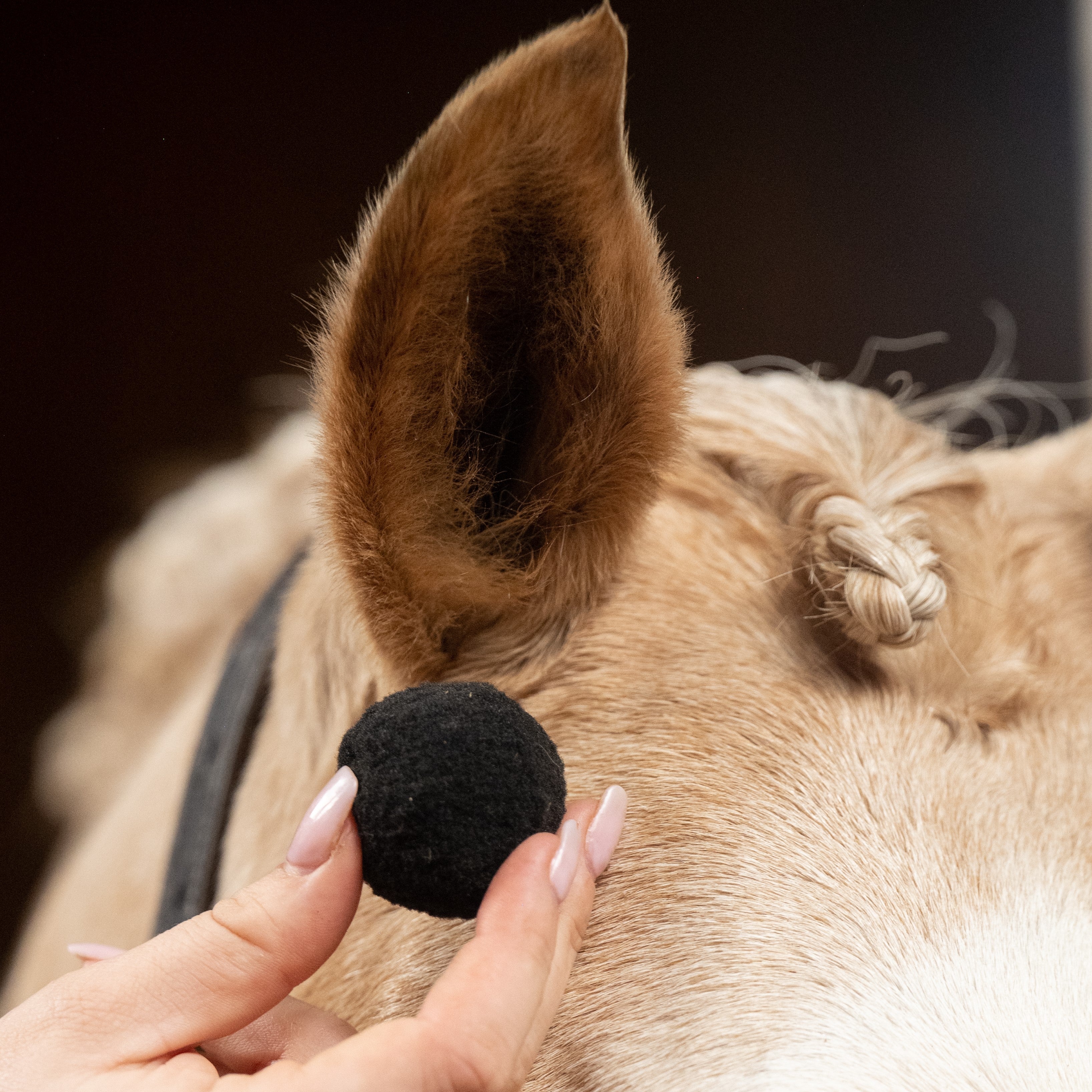 Equi Plugs