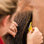 Equi-Shave Box of 50
