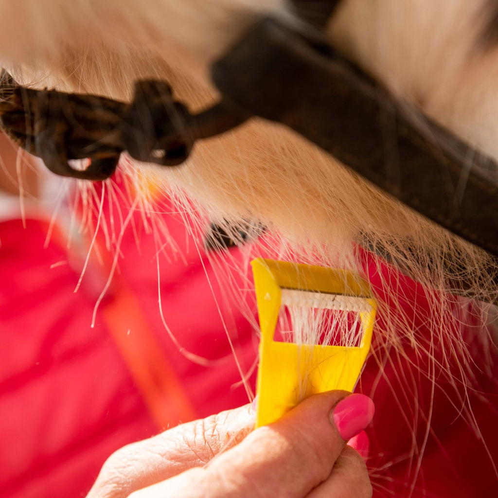 Equi-Shave Box of 50