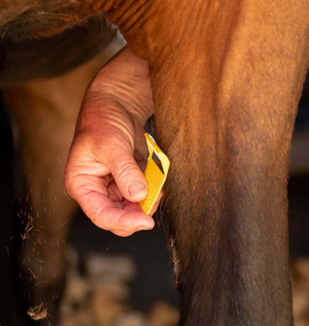 Equi-Shave Box of 50