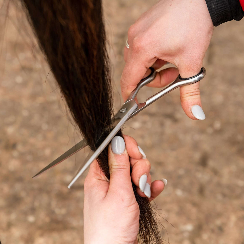 7.5"19cm Pointed Tail Scissors