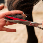 7.5"19cm Pointed Tail Scissors