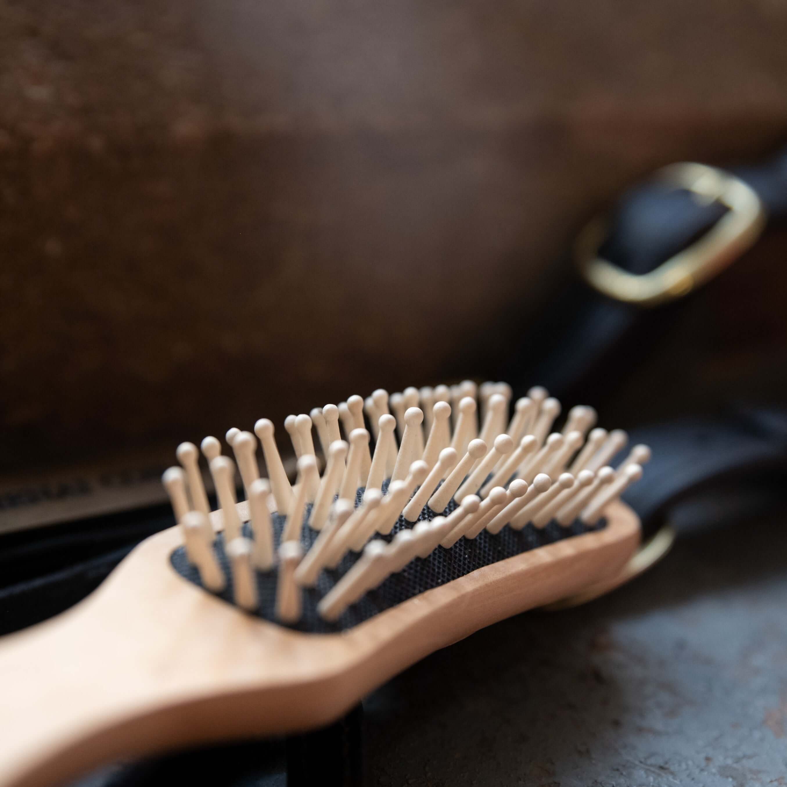 Borstiq Mane & Tail Brushes