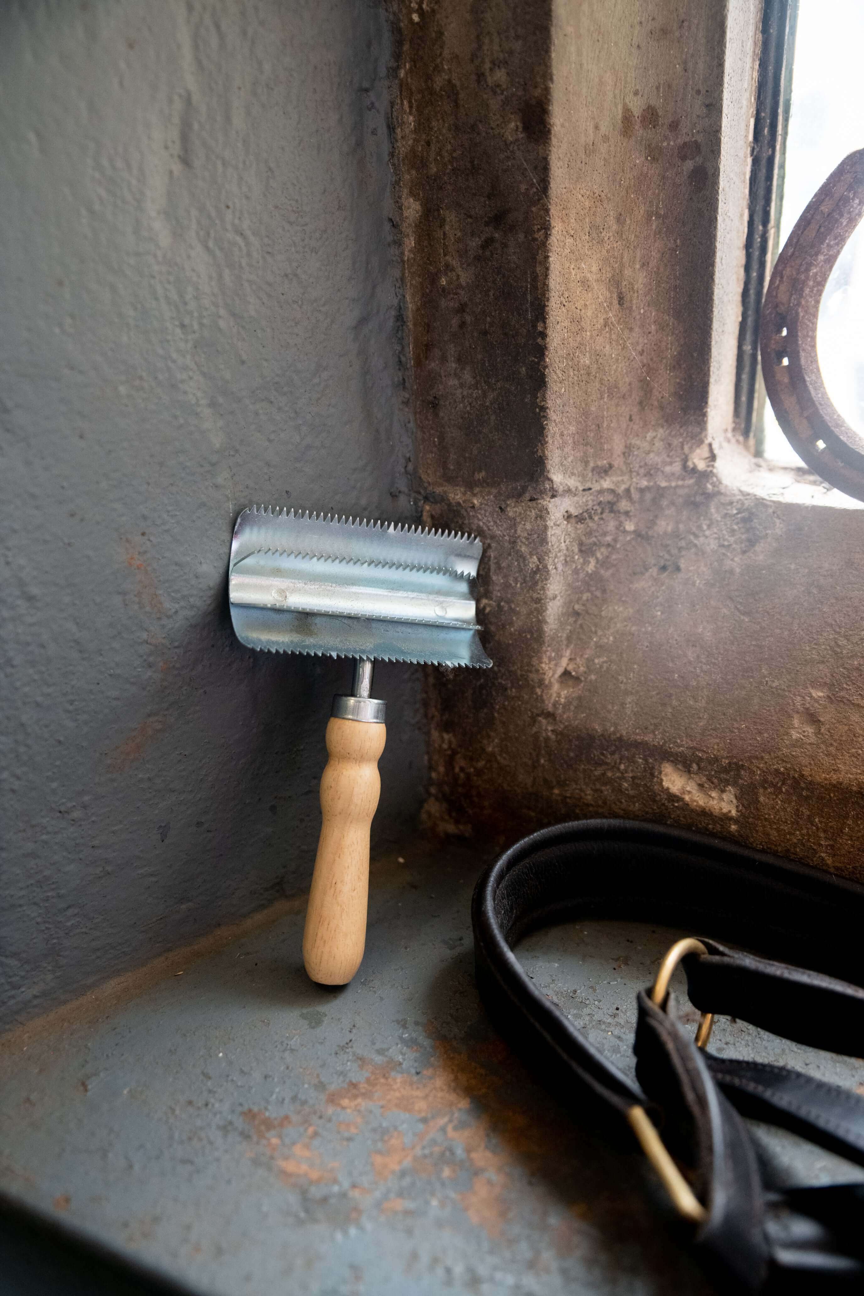 Metal Curry Comb