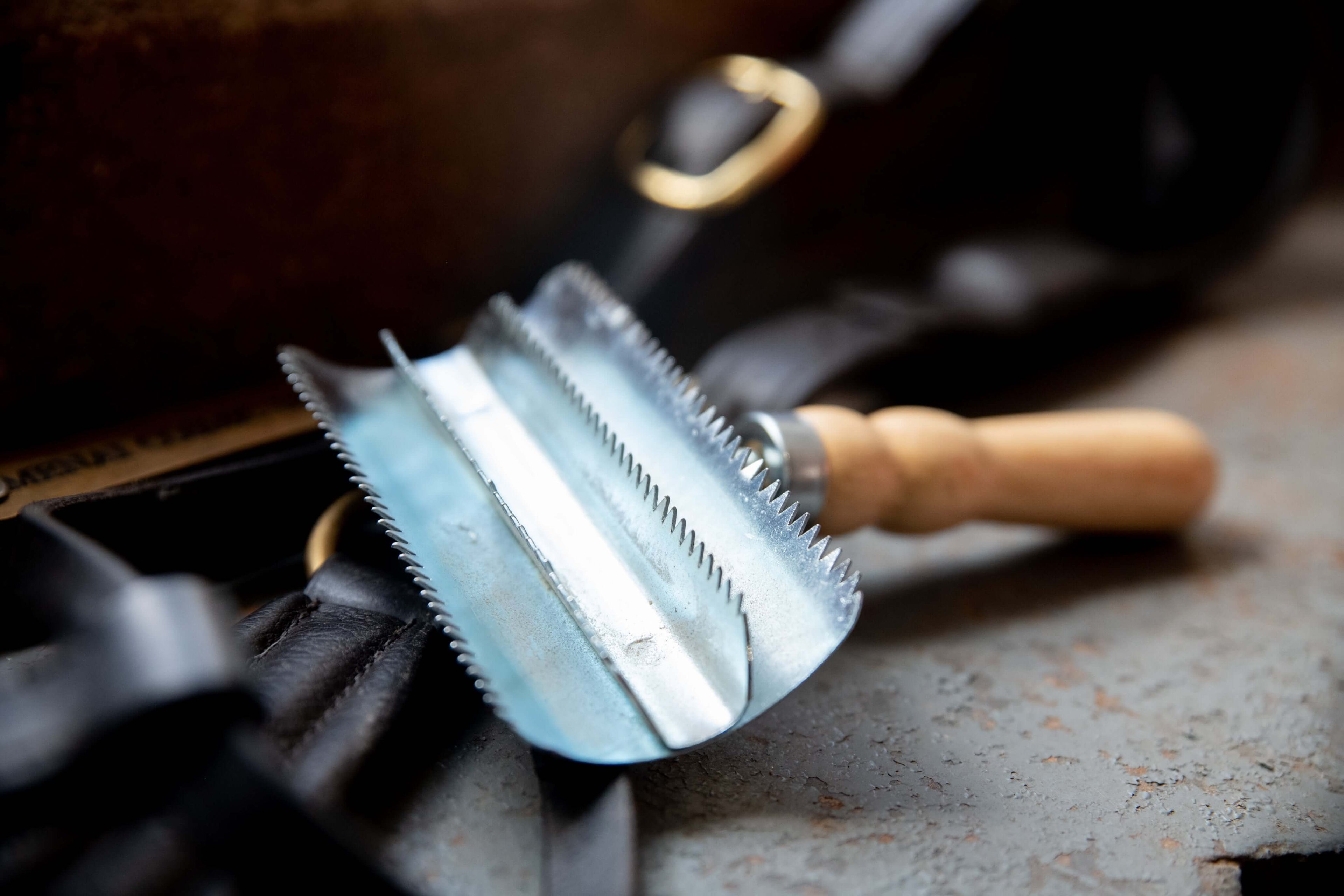 Metal Curry Comb