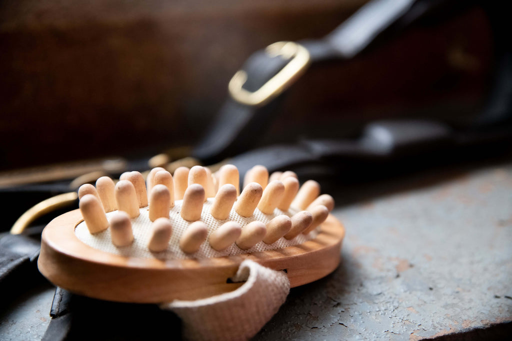 Borstiq Massage Brush