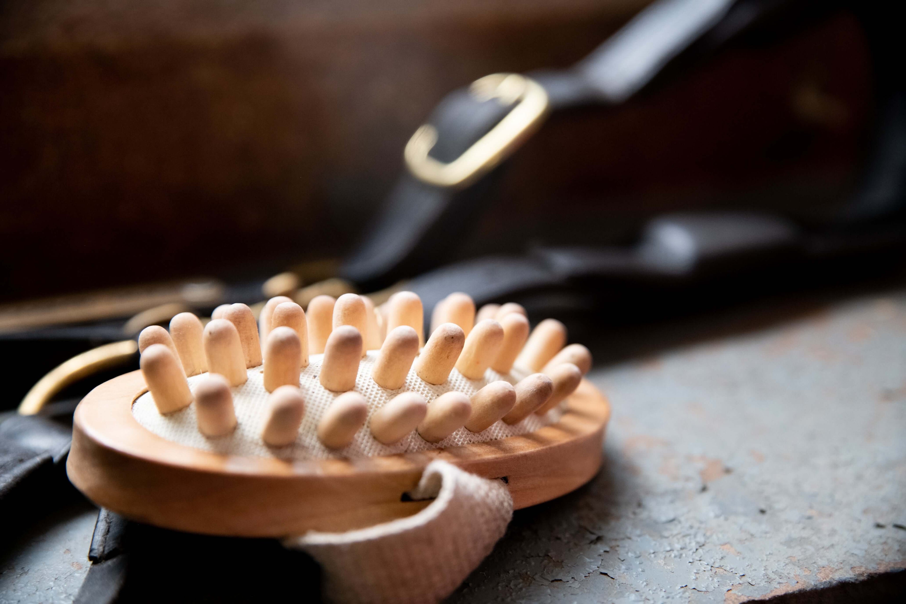 Borstiq Massage Brush