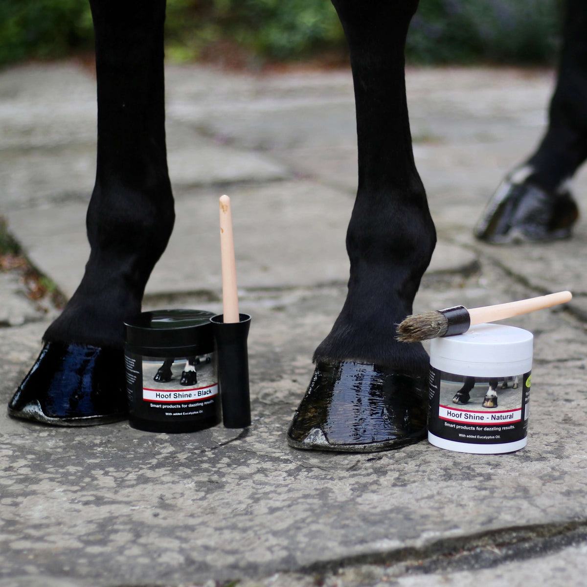 Hoof Shine 425g