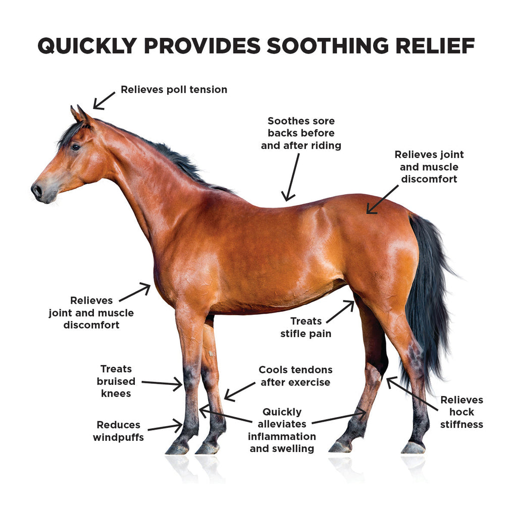 Ice Horse Cooling Liniment Gel