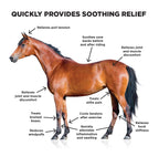 Ice Horse Cooling Liniment Gel