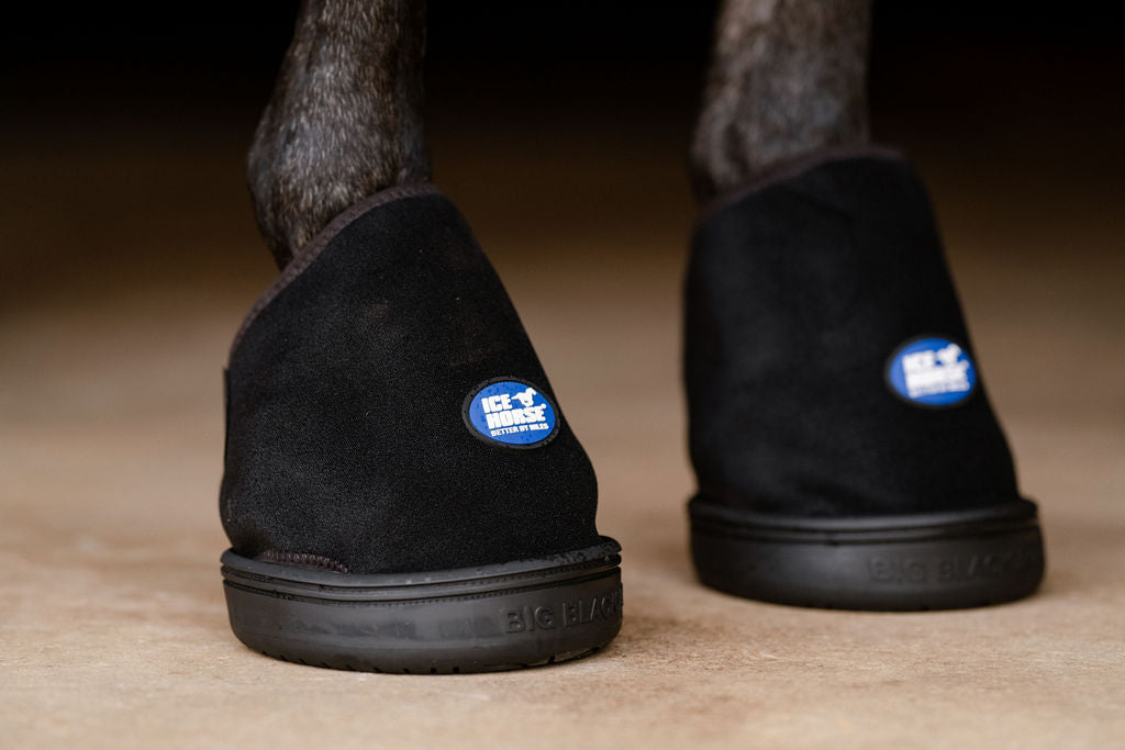 Hoof Ice Boot