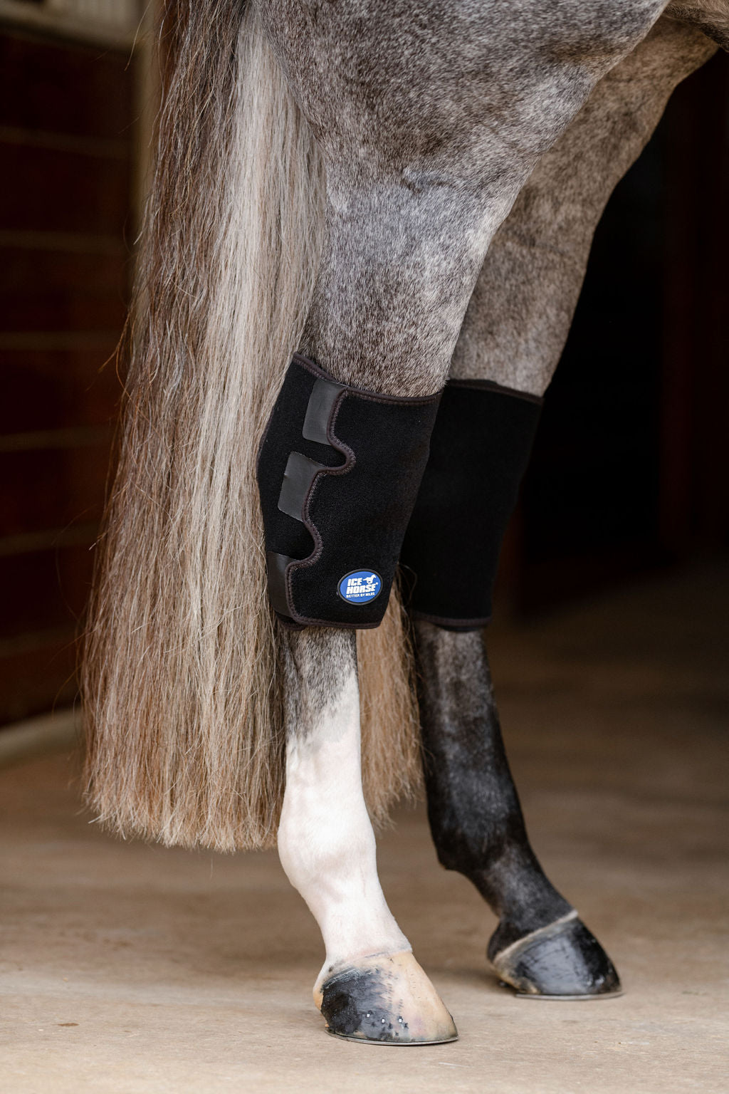 Hock Wrap - Pair with 6 Cold Inserts