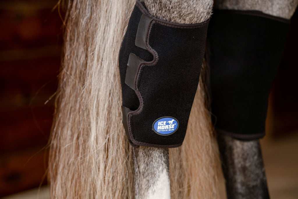 Hock Wrap - Pair with 6 Cold Inserts