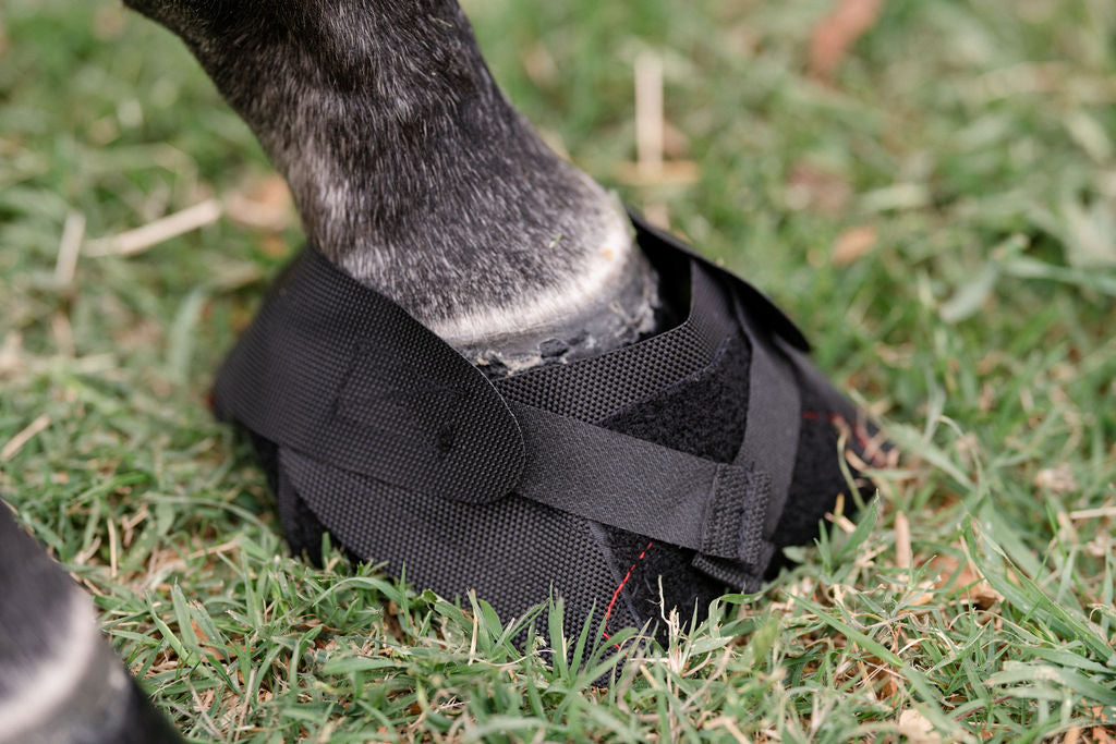 Hoof Wraps Hoof Bandage