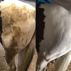 Polar White Stain Remover