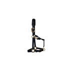KM Elite Padded Headcollar Black