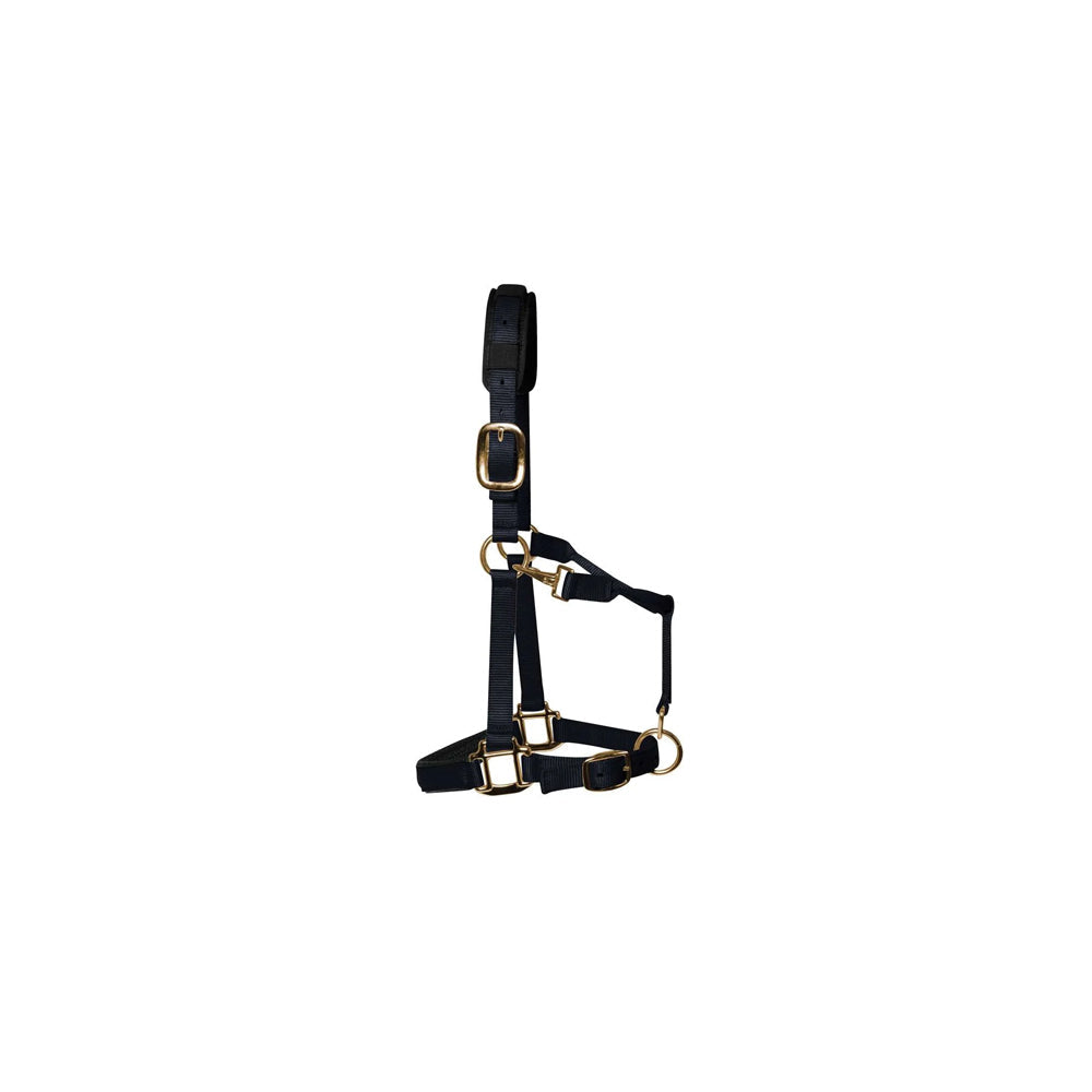 KM Elite Padded Headcollar Black